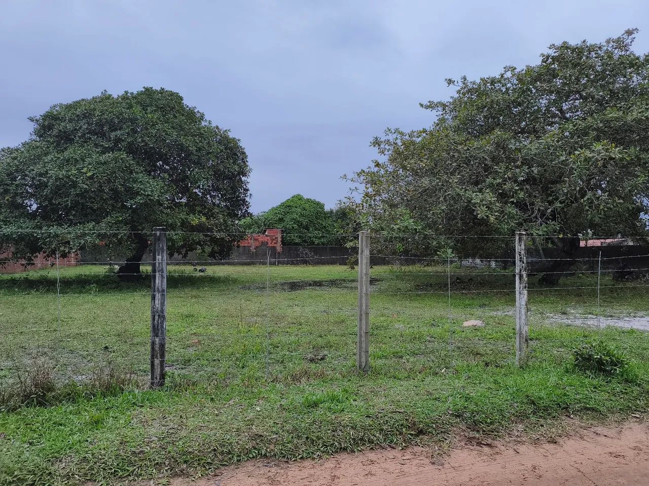 Terreno em Pium - Foto 4