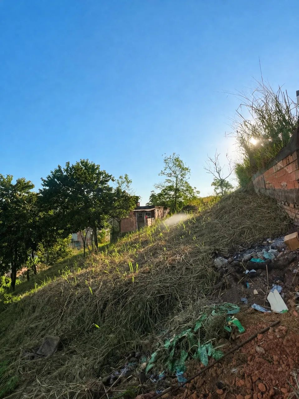 Terreno  - Foto 2