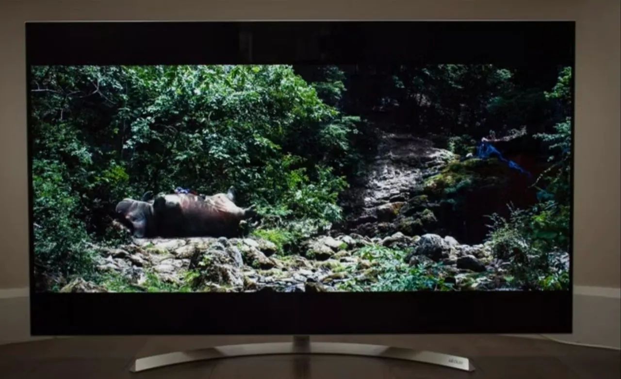 TV OLED LG 65 polegadas B7P  - Foto 3