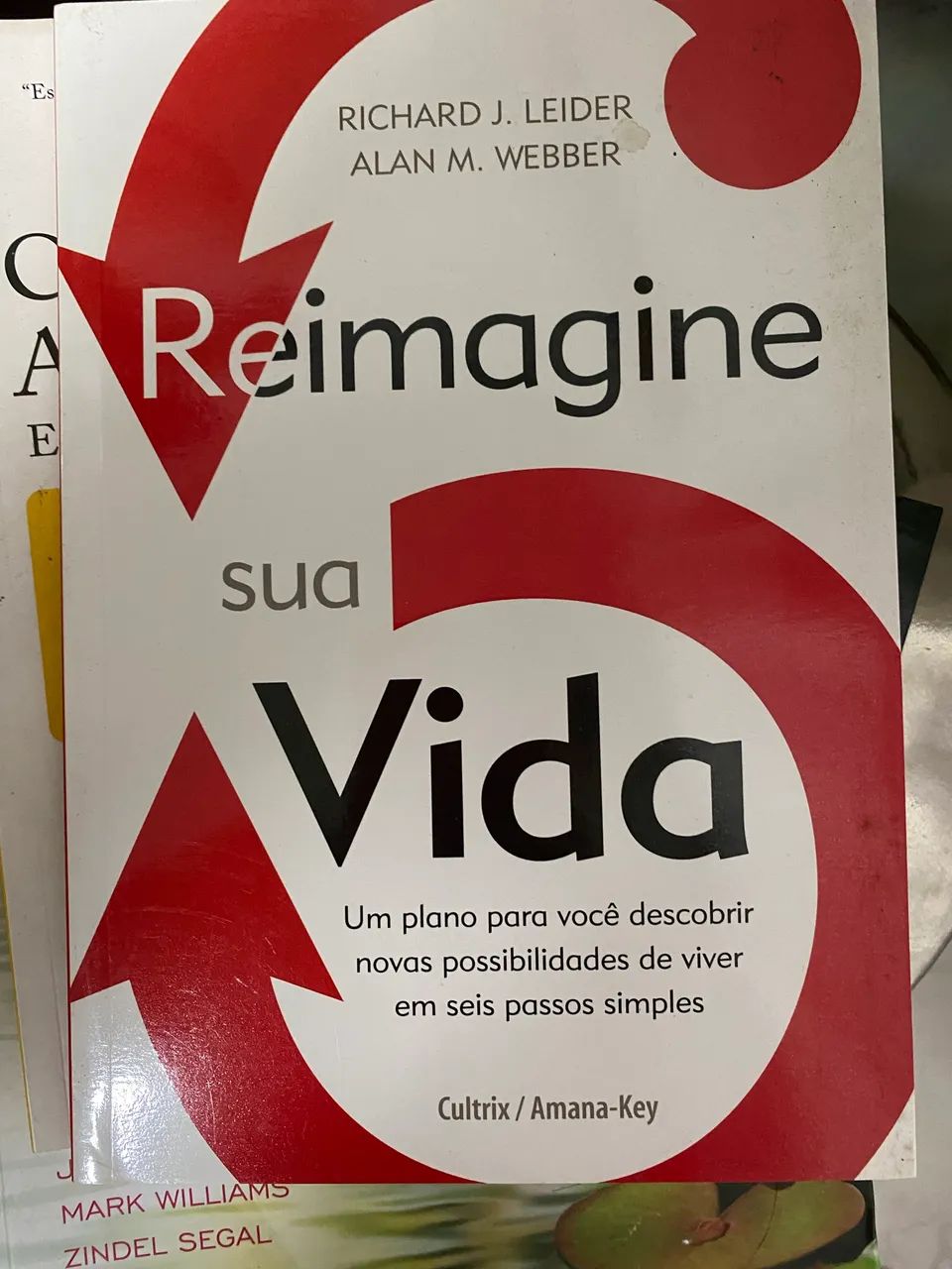 Livros gestão  - Foto 4