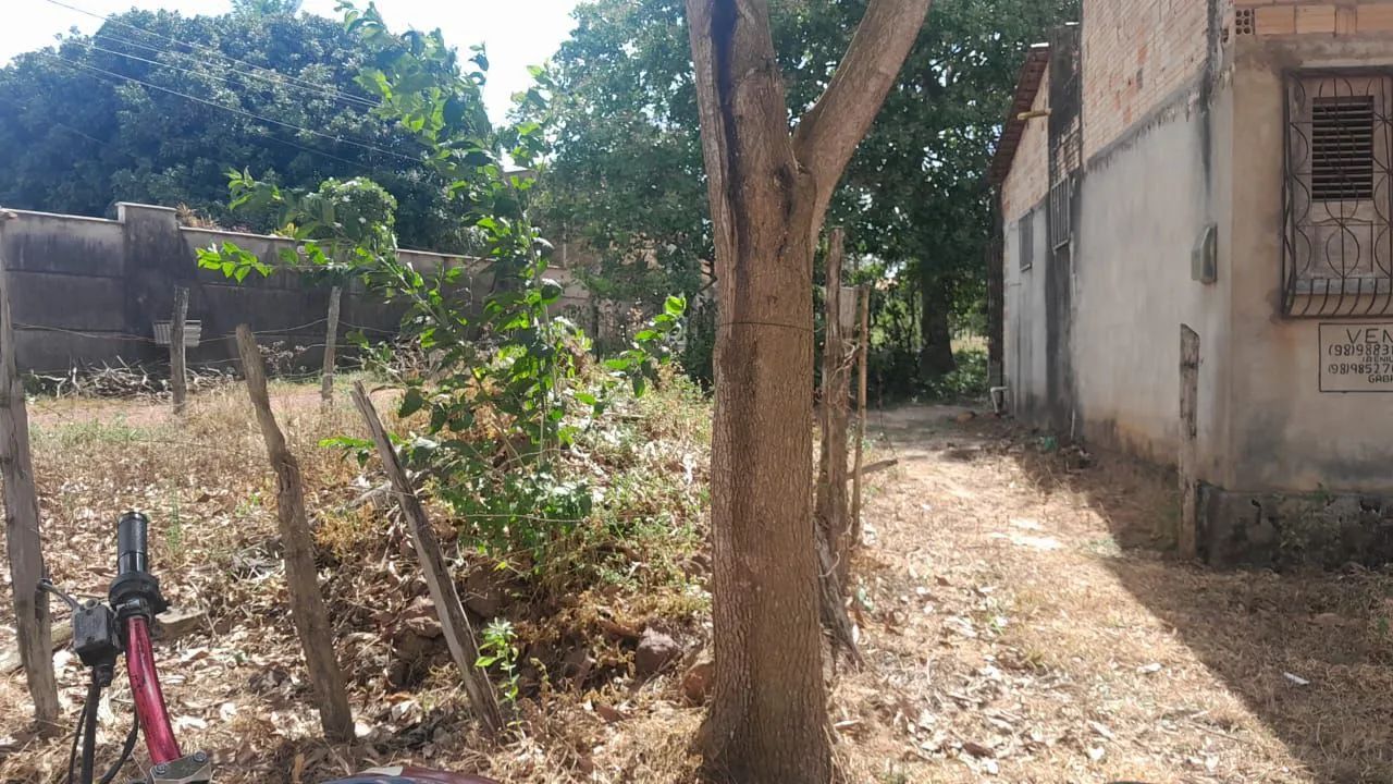 terreno mirinzal - Foto 2