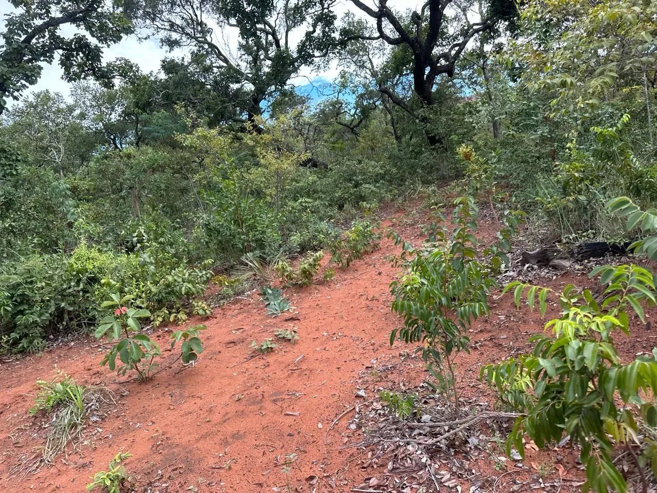 Fazenda a venda