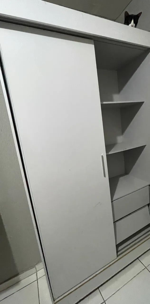 Vendo guarda roupa de duas portas 