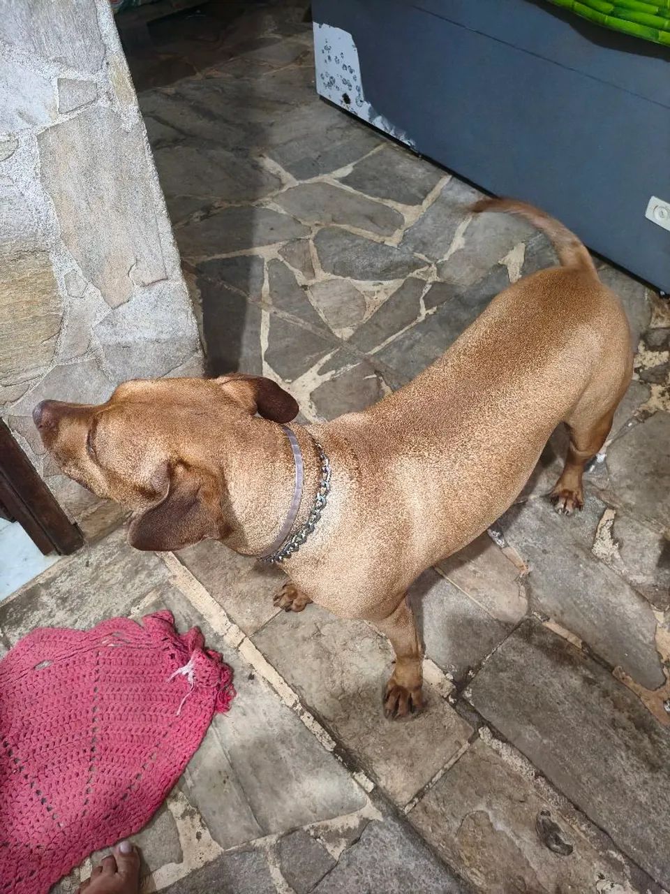 Doação  - Foto 2