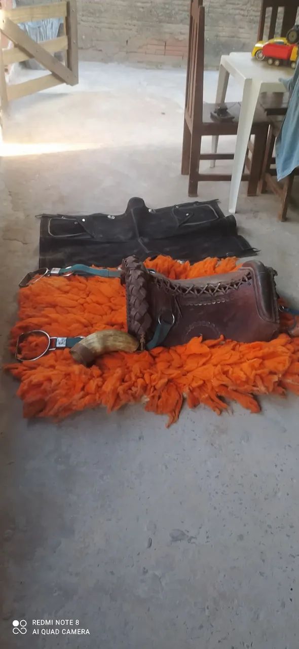 Traia de arreio - Foto 2