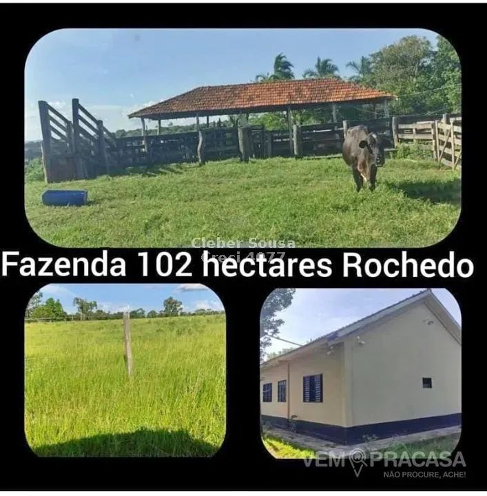 Fazenda 102 Hectares em Rochedo