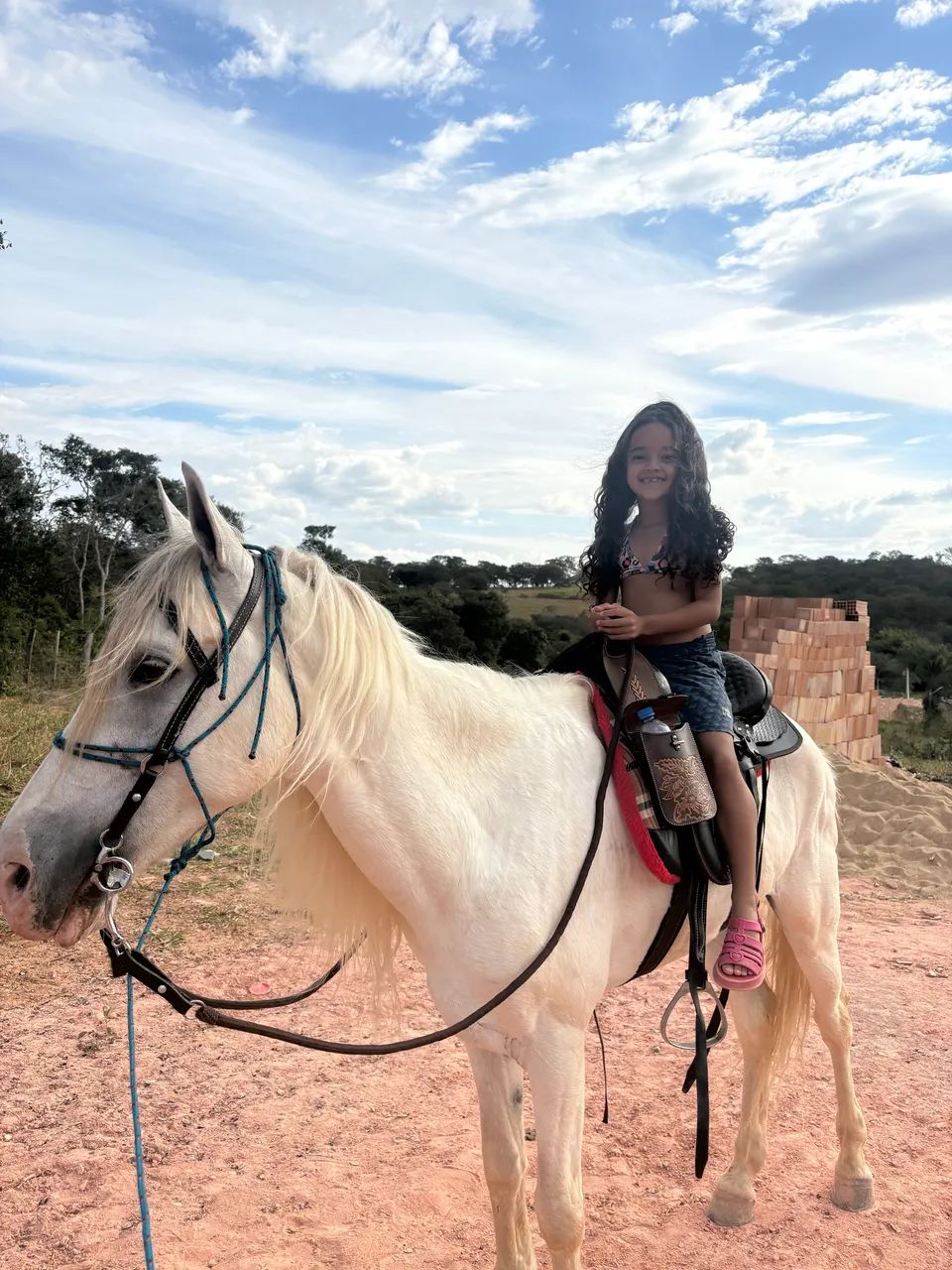 Cavalo mangalarga 