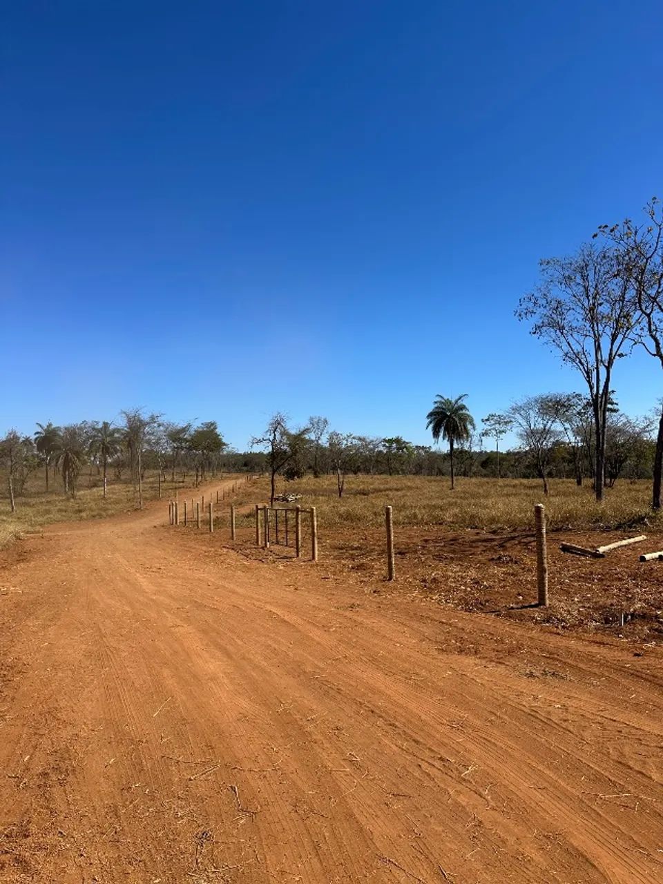 Área 5.000m2 Matozinhos - Foto 4