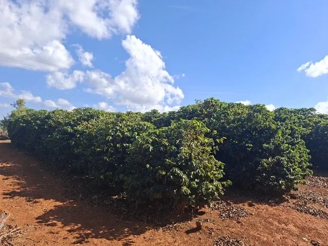 Vende-se chácara a 23 kms de Patrocinio - Foto 4