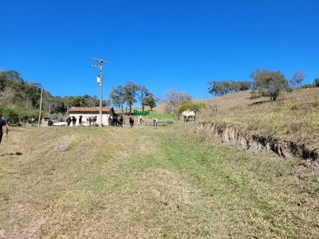 SÍTIO FORMADO COM ESTRUTURA PARA LEITE OU CORTE EM LORENA-SP