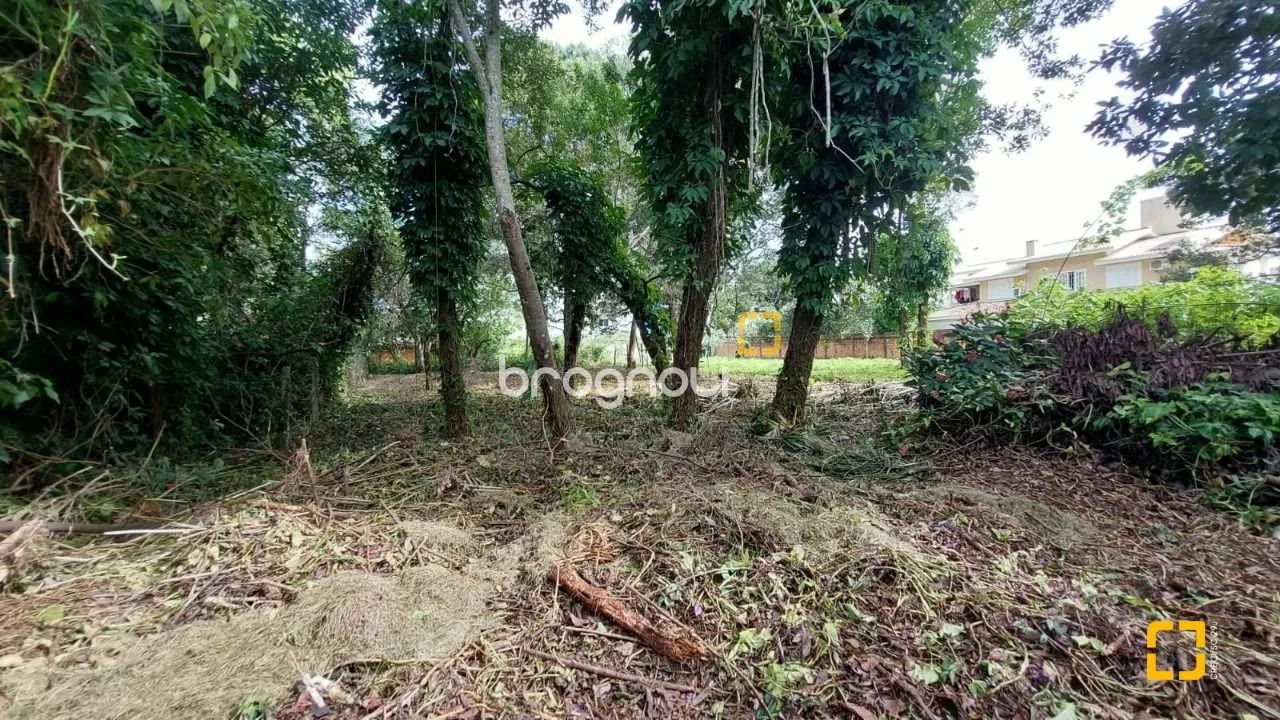 Terreno plano no Campeche central em Florianópolis SC