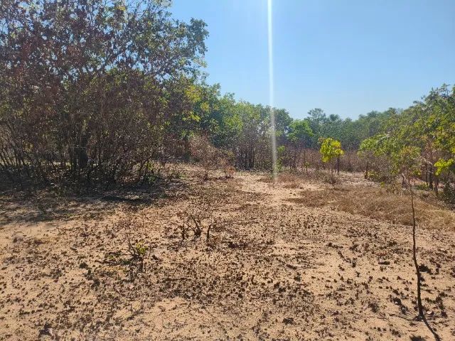 Chácara  - Foto 3