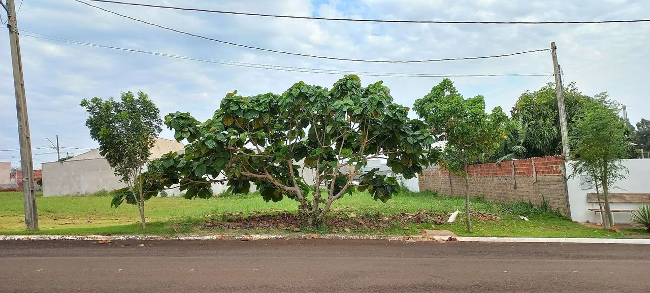 Terreno Comercial de 16m x 24,50m