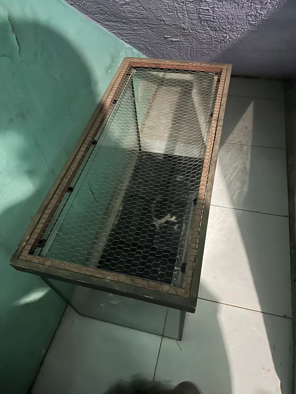 Vende-se aquaterrario  - Foto 3