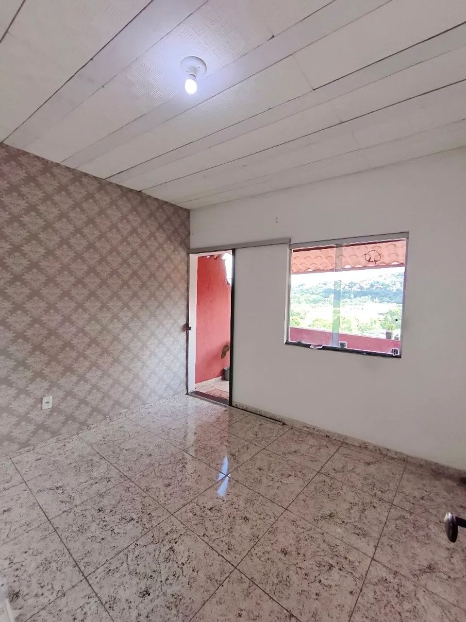 Foto - Belo Horizonte - Beija Flor