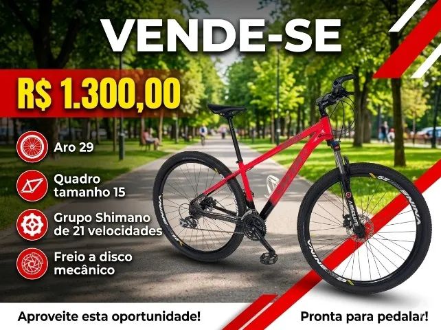 MTB Aro 29