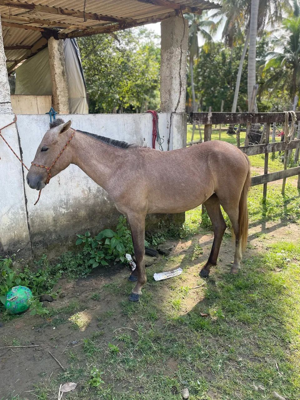 Vendo e troco  - Foto 5