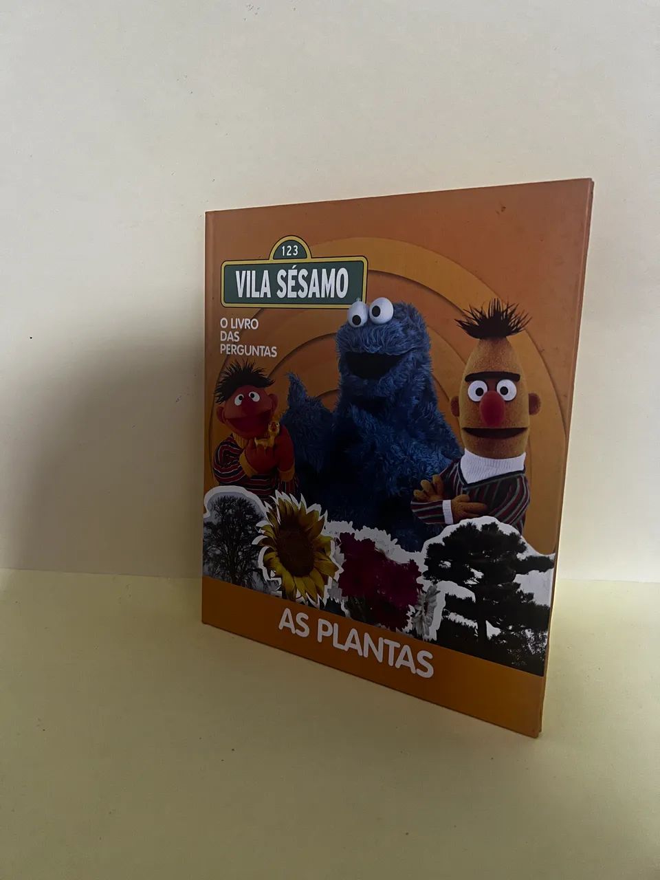 Livro vila sésamo 