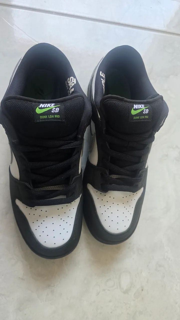 Tenis Nike Dunk Pro