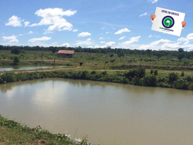 Fazenda com piscicultura ativa, próximo de nossa senhora do livramento