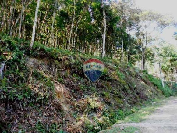 Terreno residencial à venda, Fazenda Boa Fé, Teresópolis. - Foto 2