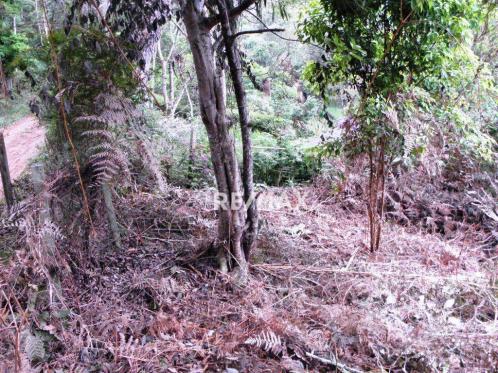 Terreno residencial à venda, Jardim Salaco, Teresópolis - TE0010. - Foto 2