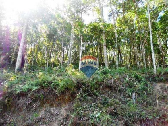Terreno residencial à venda, Fazenda Boa Fé, Teresópolis. - Foto 5