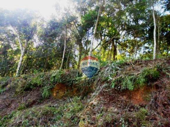 Terreno residencial à venda, Fazenda Boa Fé, Teresópolis. - Foto 10