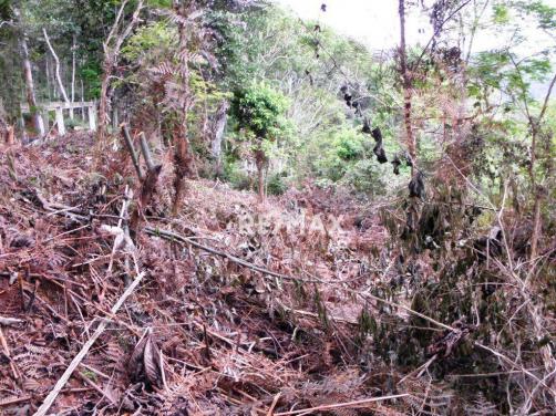 Terreno residencial à venda, Jardim Salaco, Teresópolis - TE0010. - Foto 9