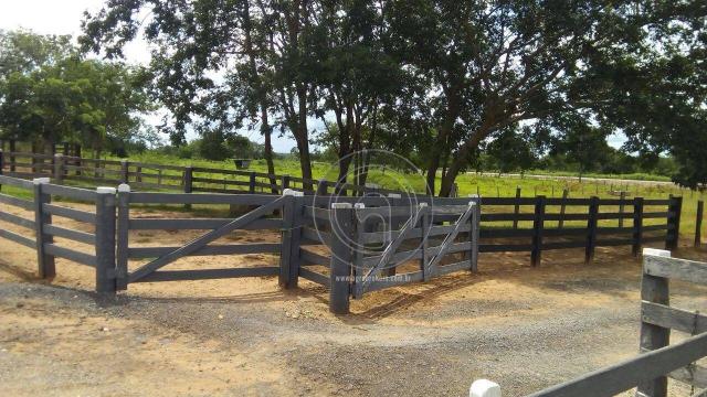 Fazenda 200 hectares na beirada br 070