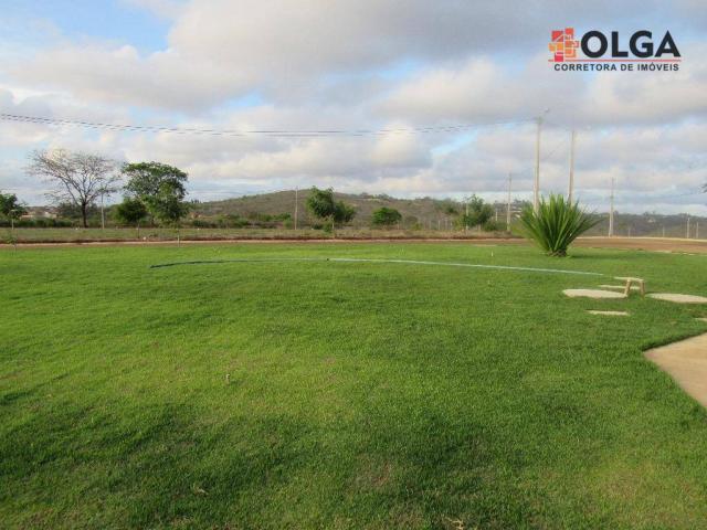 Lançamento imperdível! lotes parcelados sem juros. gravatá - Foto 11