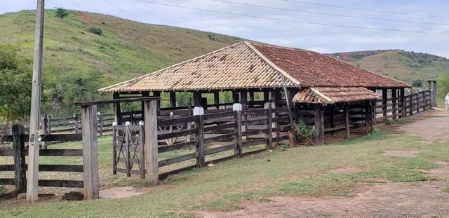 Fazenda 12 alqueires em Governador Valadares/MG - Foto 16