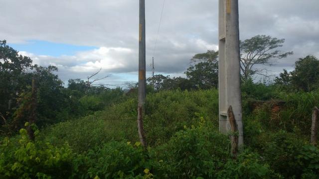 Excelente Propriedade em Belo Jardim, 7,5 hectares - Foto 4
