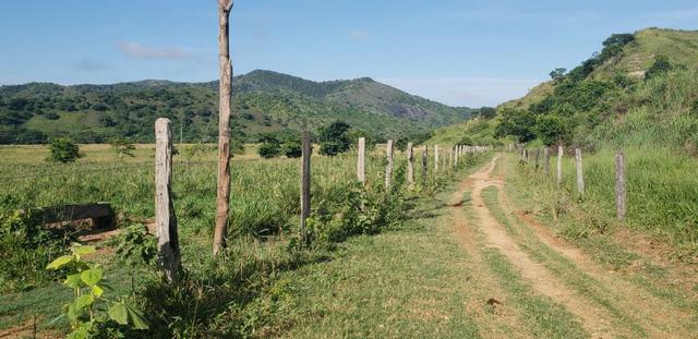 Fazenda 20 alqueires em São Jose Safira / MG - Foto 14