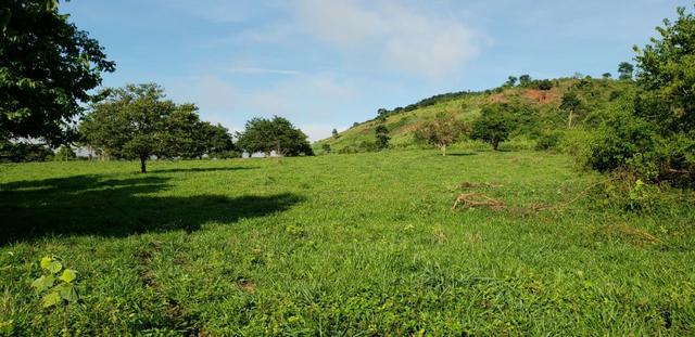 Fazenda 20 alqueires em São Jose Safira / MG - Foto 7