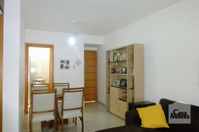 Apartamento à venda com 3 dormitórios em Grajaú, Belo horizonte cod:257769 - Foto 5