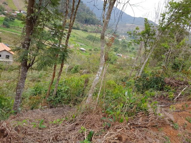 Terrenos - Foto 6