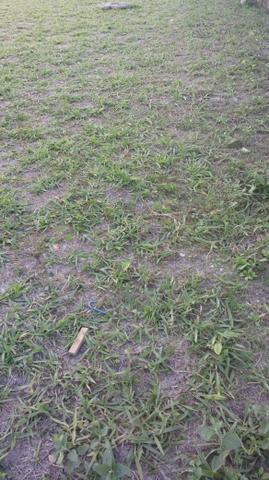 Terreno plano pronto para construir em Mambucaba Angra dos Reis