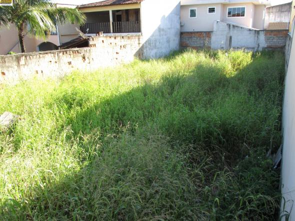 Terreno - Foto 3