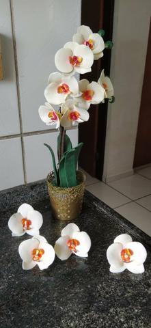 Orquídea em biscuit