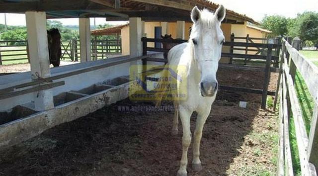 Vendo Lote No Condomínio Fazenda Gramado - Gravatá/PE / Código Do Imóvel : LT0963 - Foto 12
