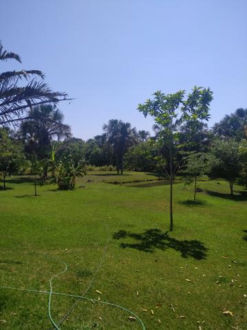 Chácara em Aragoiania venda ou aluguel - Foto 2