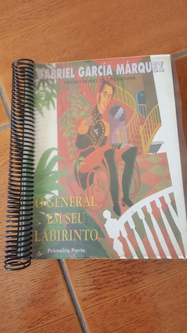 O GENERAL EM SEU LABERINTO 