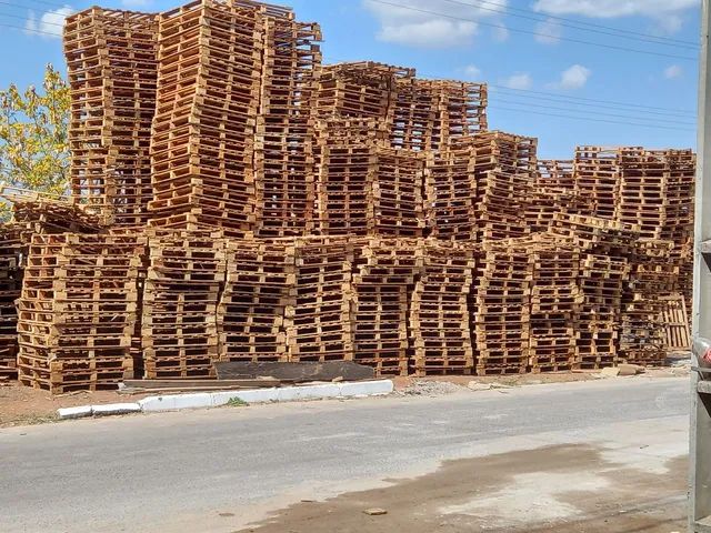 Paletes de madeira (compra e venda )