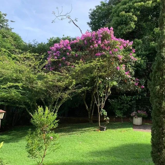 Vende-se linda casa na Chapada dos Guimarães MT  - Foto 7