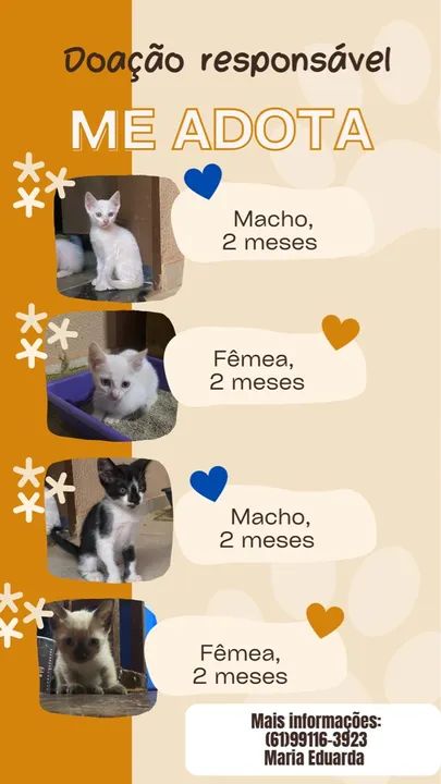 Doação responsável 