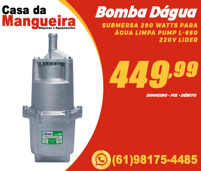 Bomba Dágua submersa 290 watts para Água Limpa Pump L-660 220V Lider