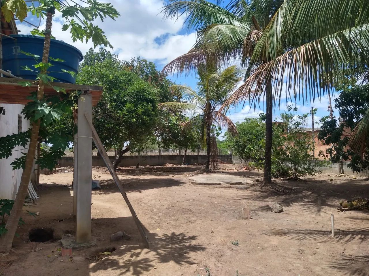 foto - Feira de Santana - Parque Ipê