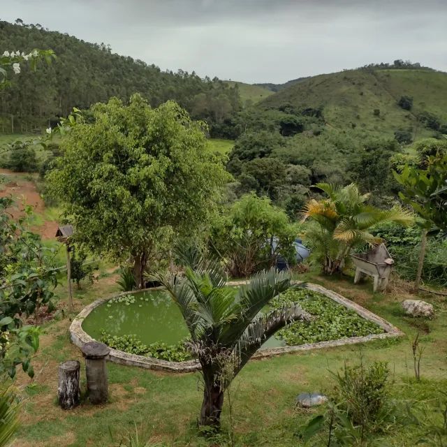 Aluguel de Granja - Pirapetinga/Torreões - Foto 6