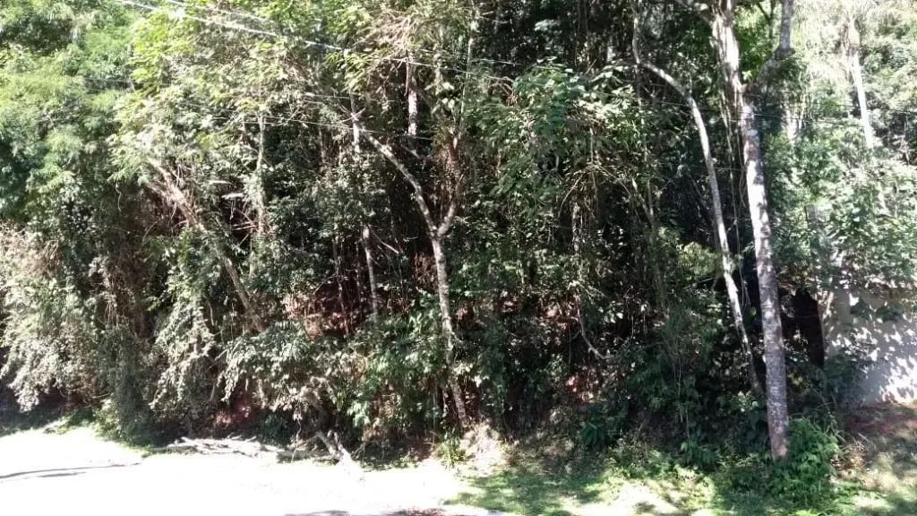 Terreno à venda, 619 m² por R$ 200.000,00 - Vila Verde - Itapevi/SP